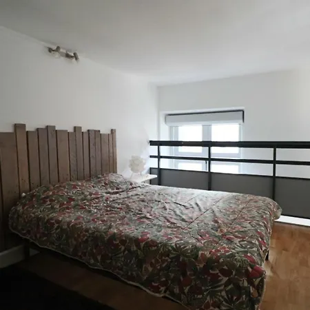 Les Marmottes - Guillaume Apartman La Bourboule